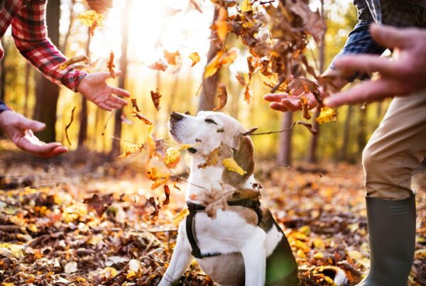 outdoor fall activities